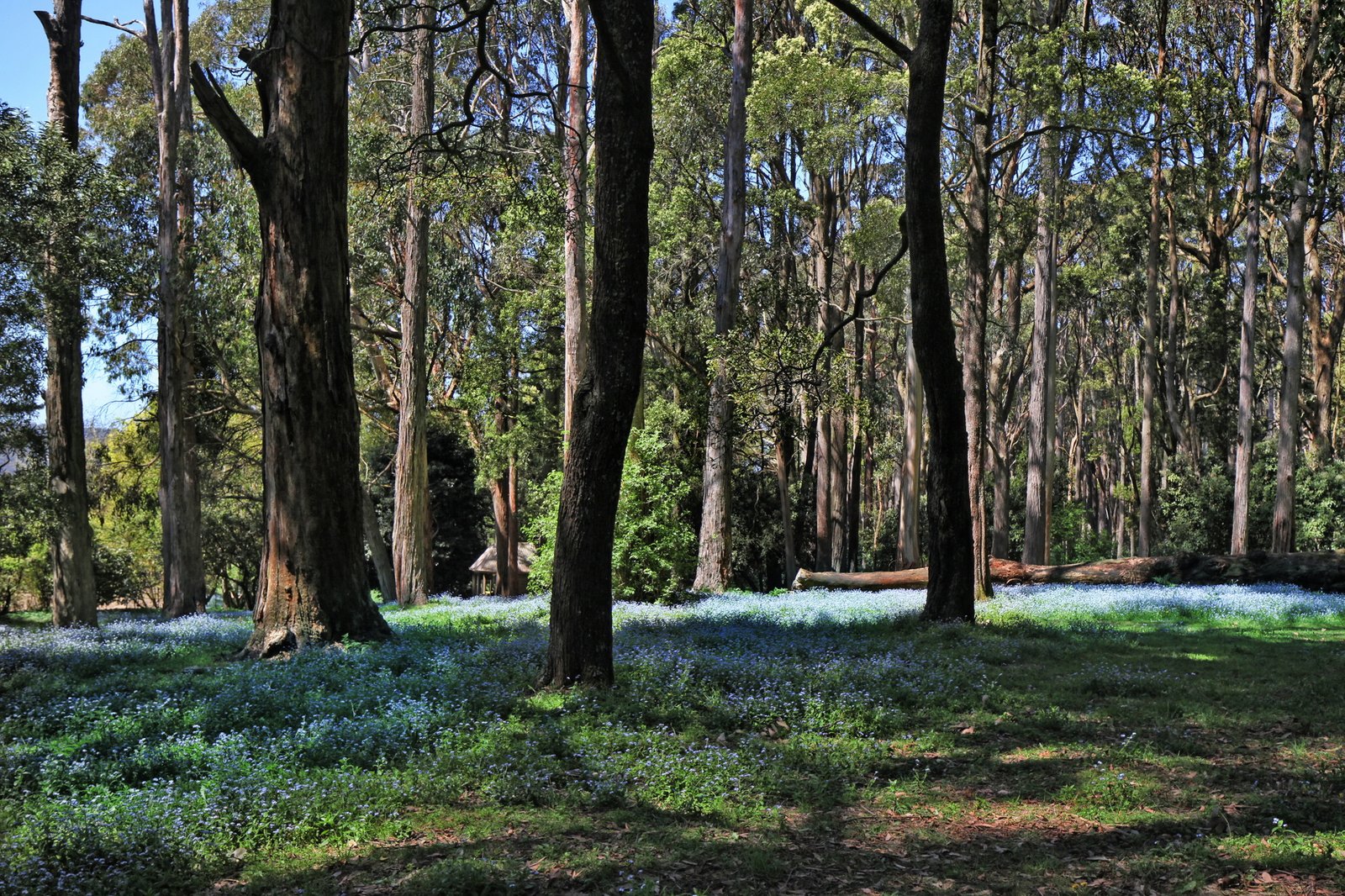 Real Estate and Property in 123 Hesket-Boundary Road, Hesket, VIC