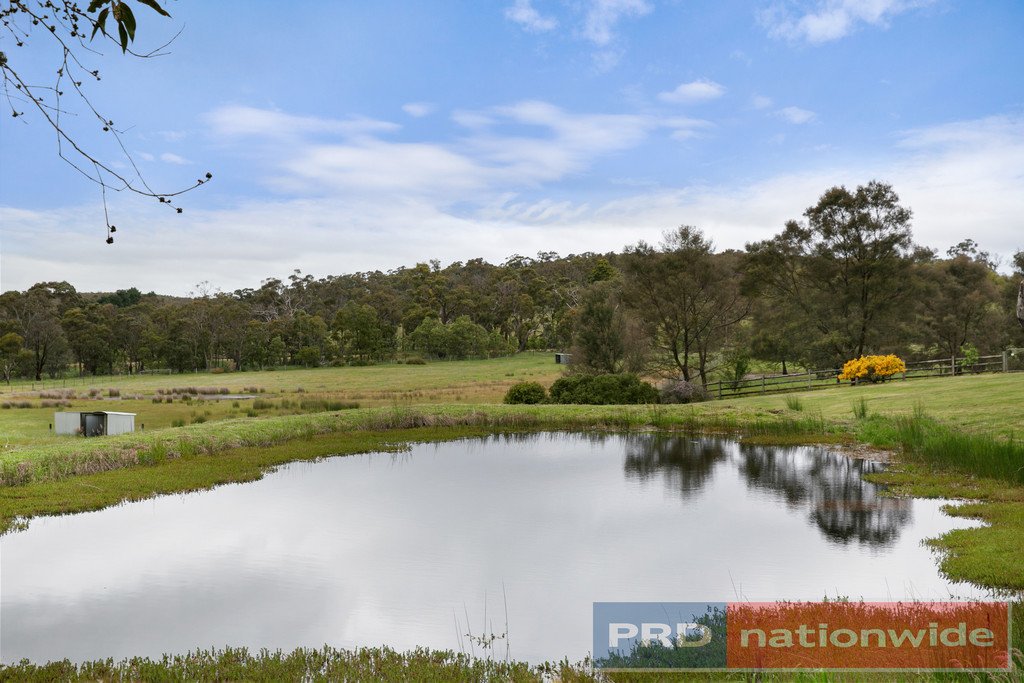 123 Kennedys Road SMYTHES CREEK 16