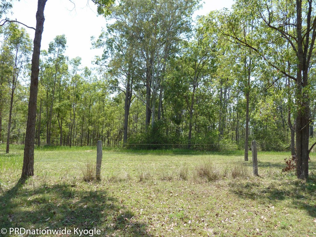 1232 Old Dyraaba Rd, Dyraaba Via  KYOGLE 25