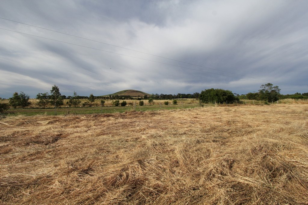 1,2,3,4 & 6 Kingston-Newlyn Road KINGSTON 1