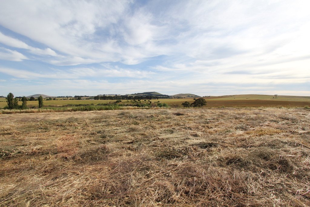 1,2,3,4 & 6 Kingston-Newlyn Road KINGSTON 4