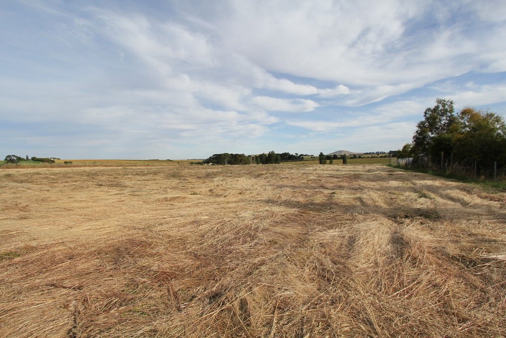 1,2,3,4 & 6 Kingston-Newlyn Road KINGSTON 6