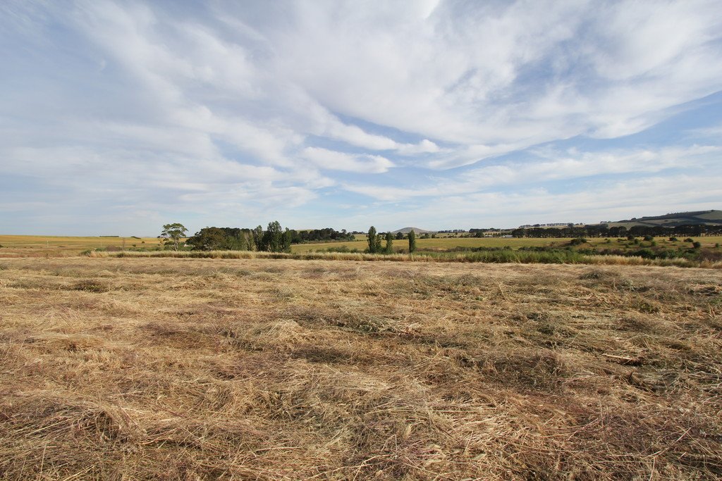 1,2,3,4 & 6 Kingston-Newlyn Road KINGSTON 7