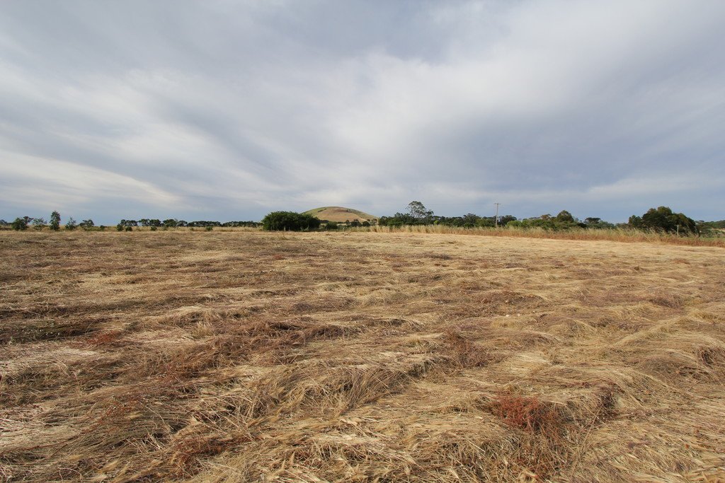 1,2,3,4 & 6 Kingston-Newlyn Road KINGSTON 8