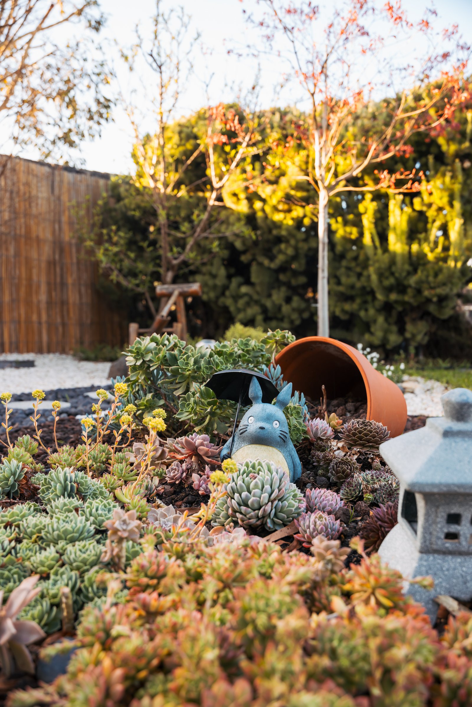 Gallery: 12/37 Banool Road