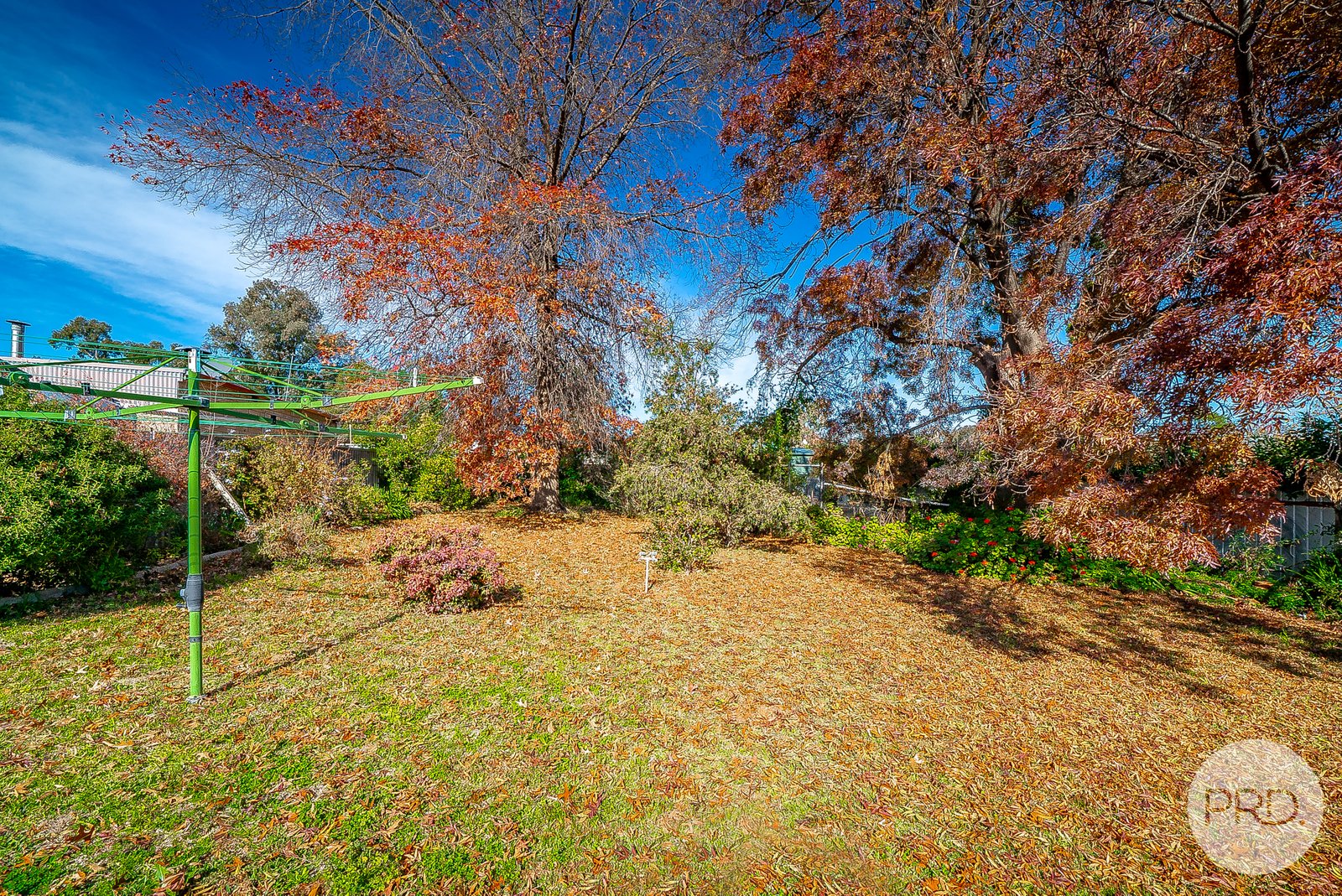 124 Ashmont Avenue ASHMONT 9