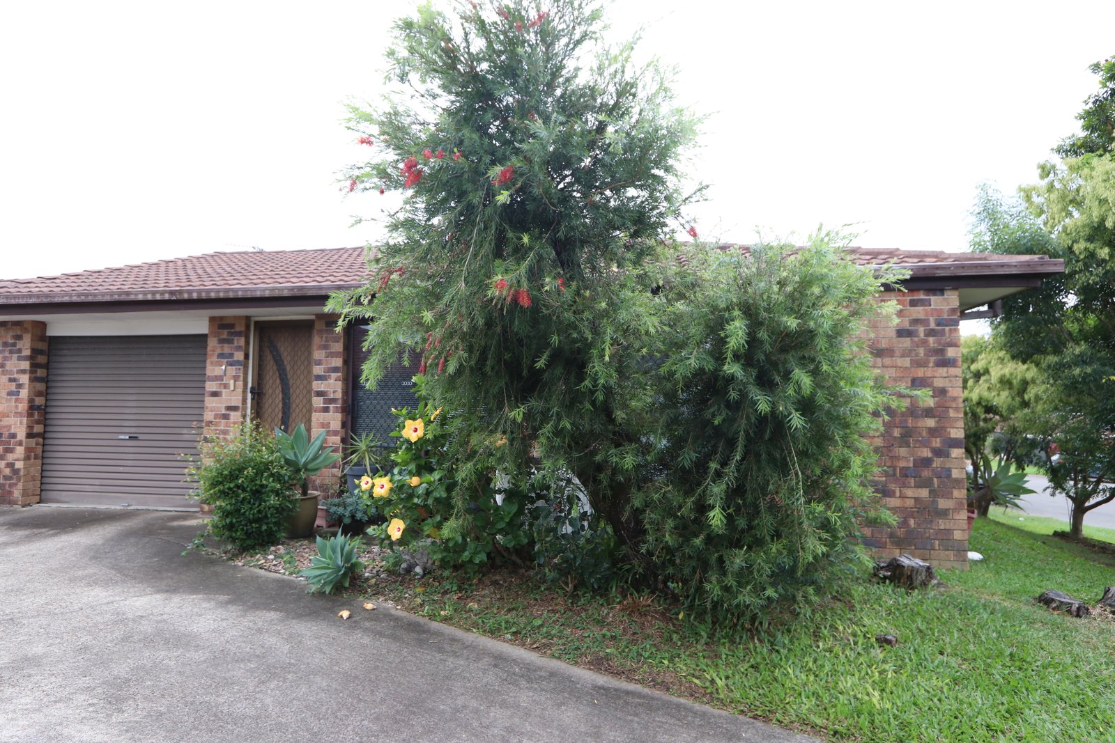 1/24 Callistemon Court ARUNDEL 1