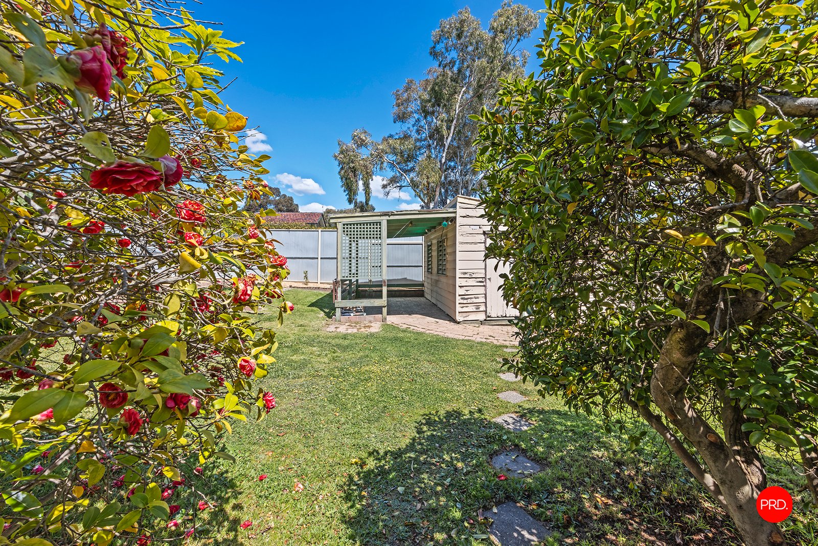 124 Casey Street EAST BENDIGO 14