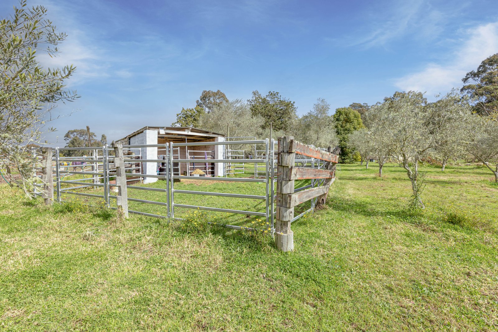 124 Duns Creek Road DUNS CREEK 13