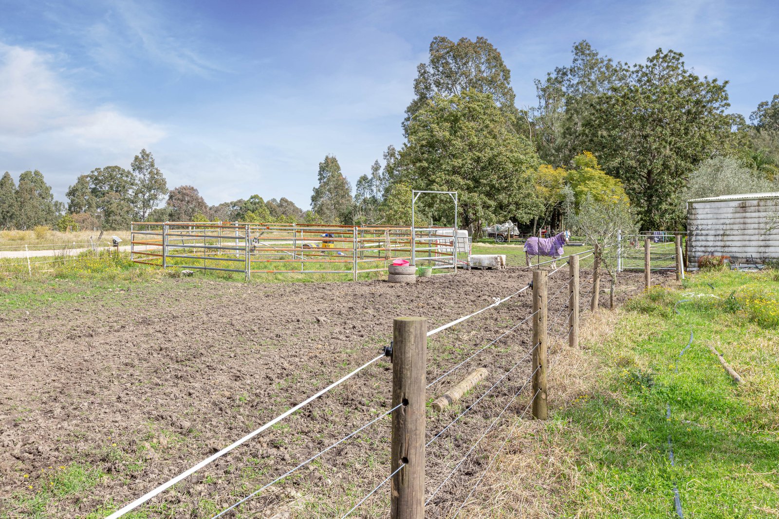 124 Duns Creek Road DUNS CREEK 14