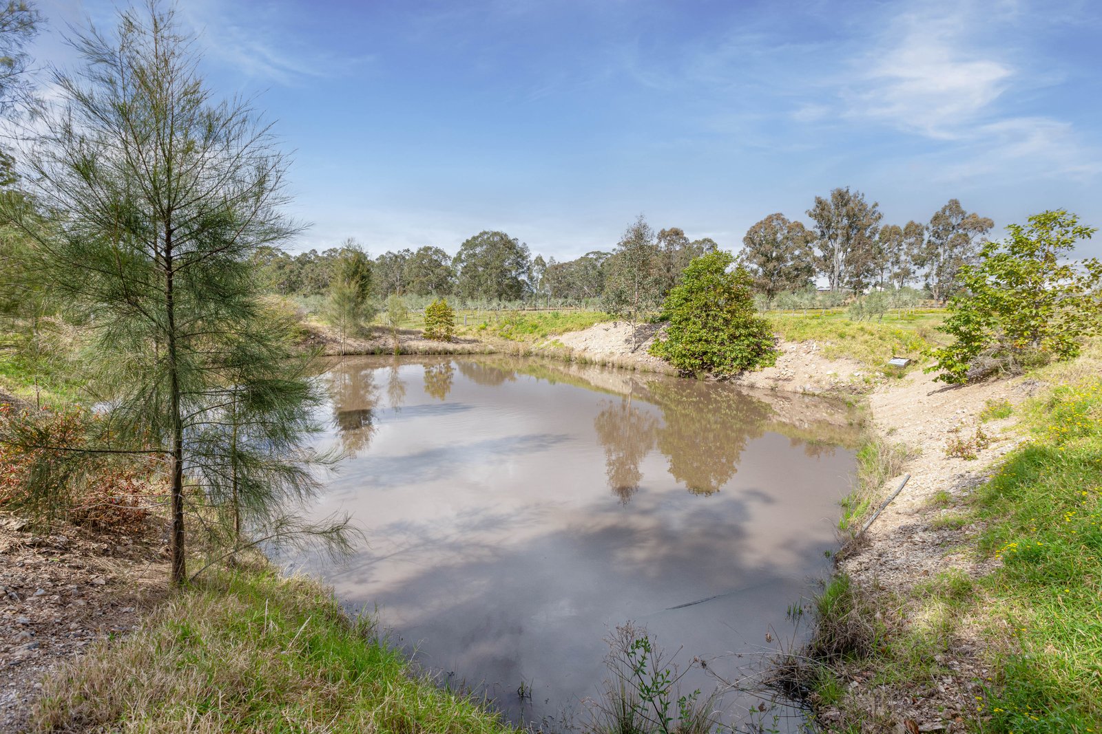 124 Duns Creek Road DUNS CREEK 15