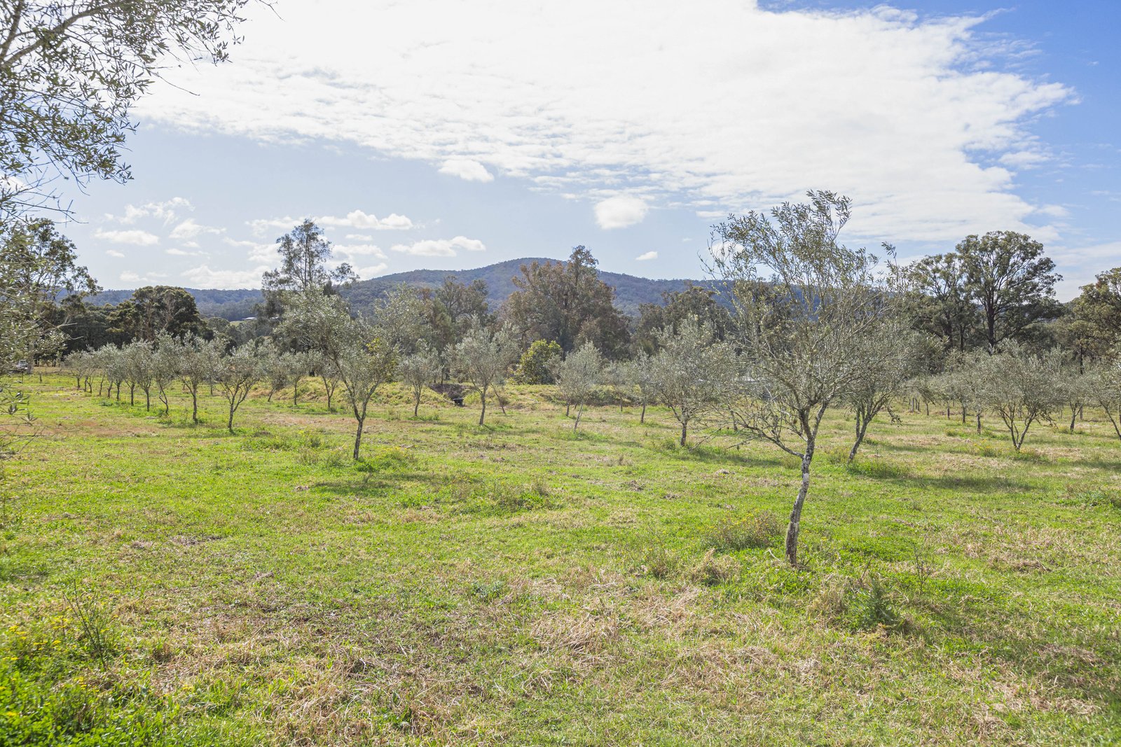 124 Duns Creek Road DUNS CREEK 17