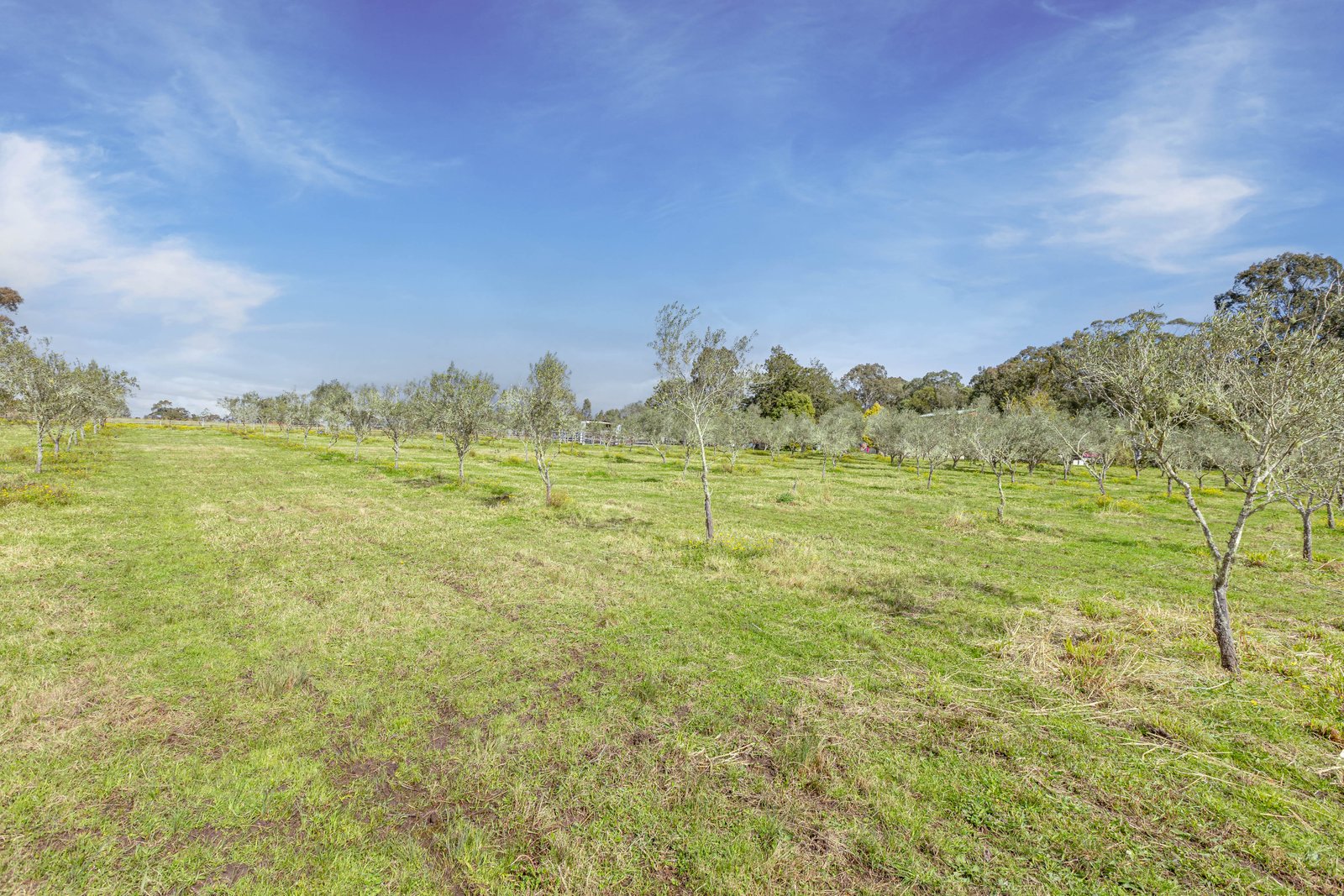 124 Duns Creek Road DUNS CREEK 18