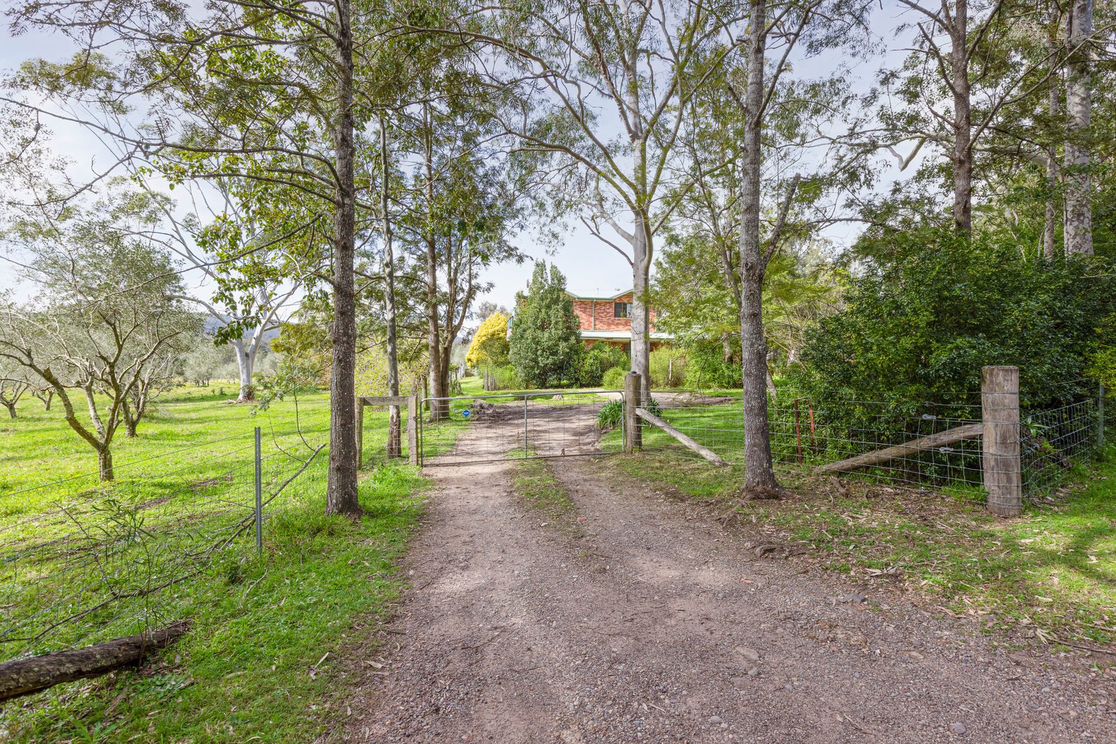 124 Duns Creek Road DUNS CREEK 21