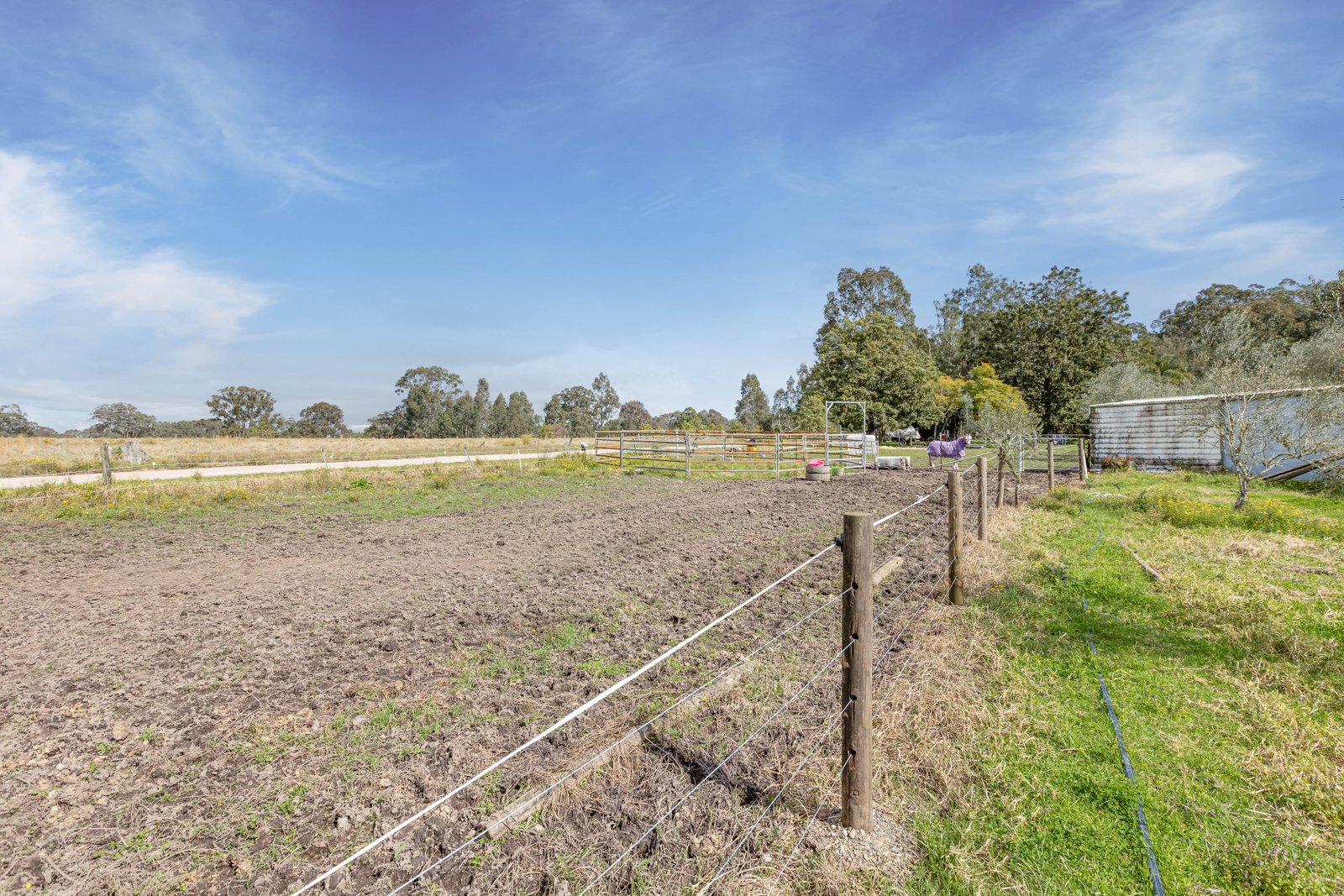 124 Duns Creek Road DUNS CREEK 22