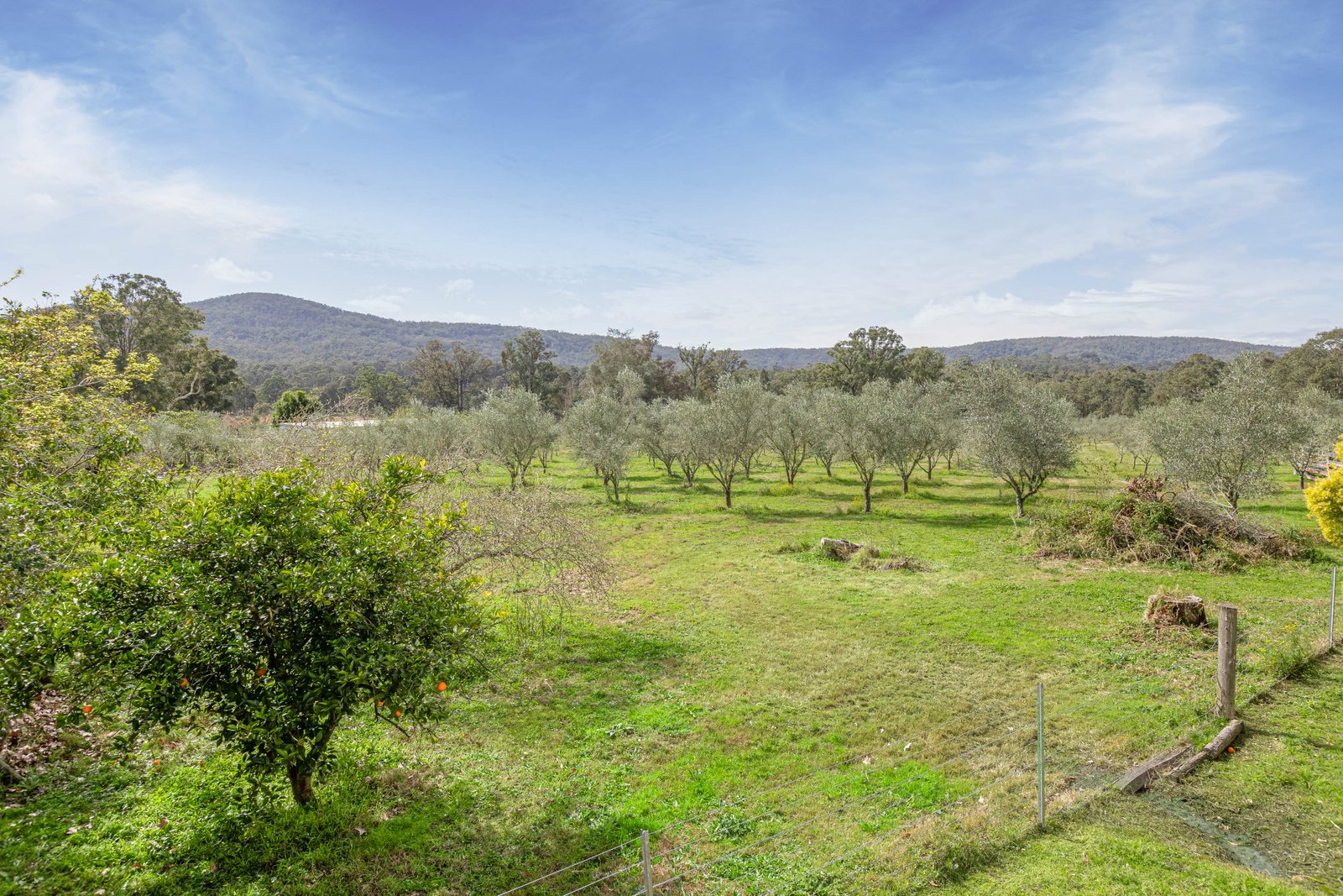 124 Duns Creek Road DUNS CREEK 24