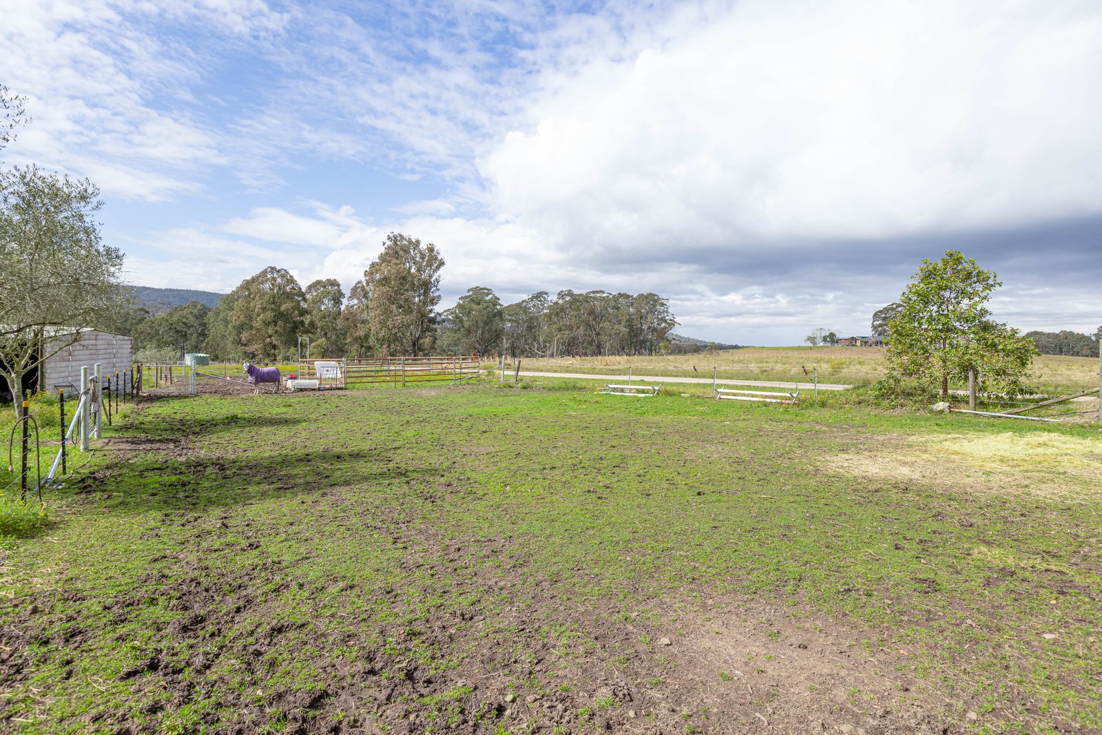 124 Duns Creek Road DUNS CREEK 25