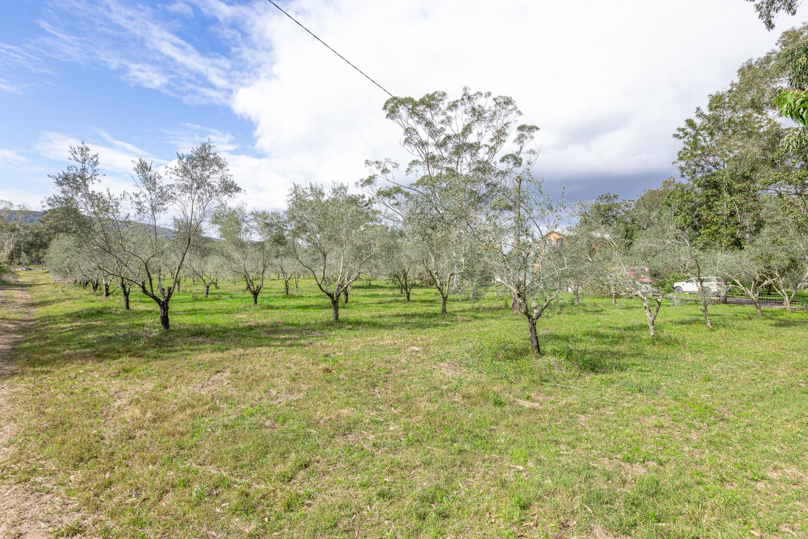 124 Duns Creek Road DUNS CREEK 26