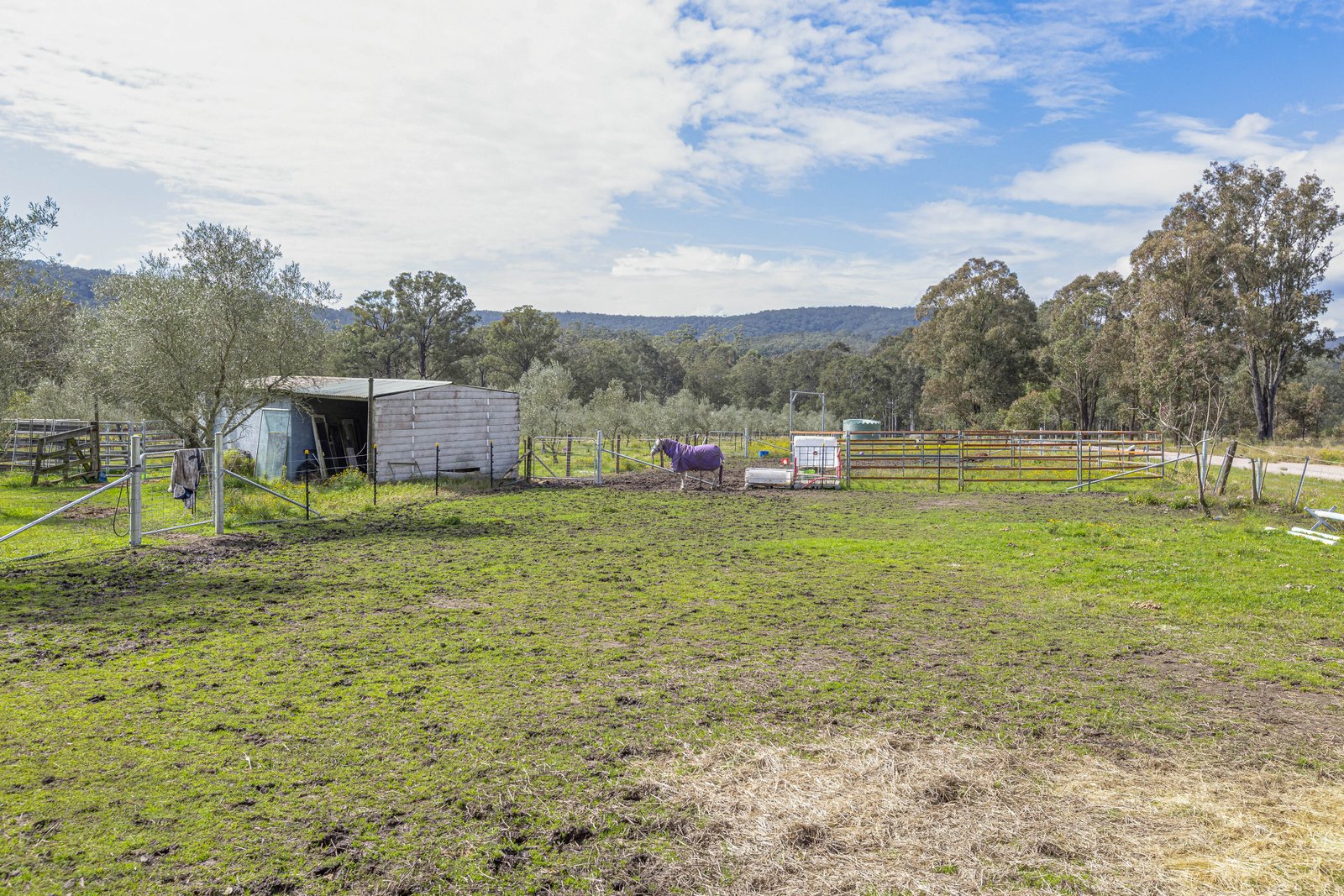 124 Duns Creek Road DUNS CREEK 29