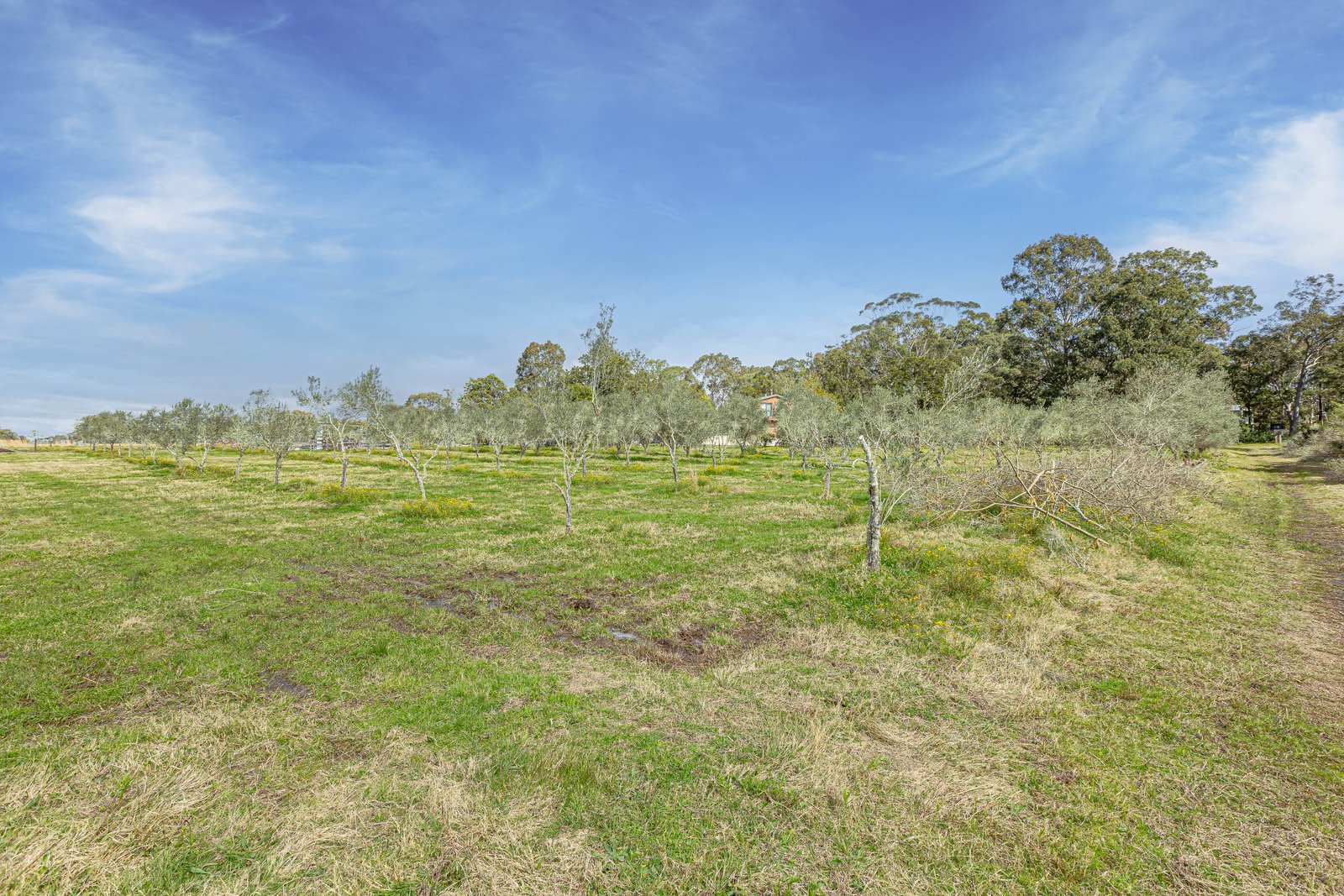 124 Duns Creek Road DUNS CREEK 30