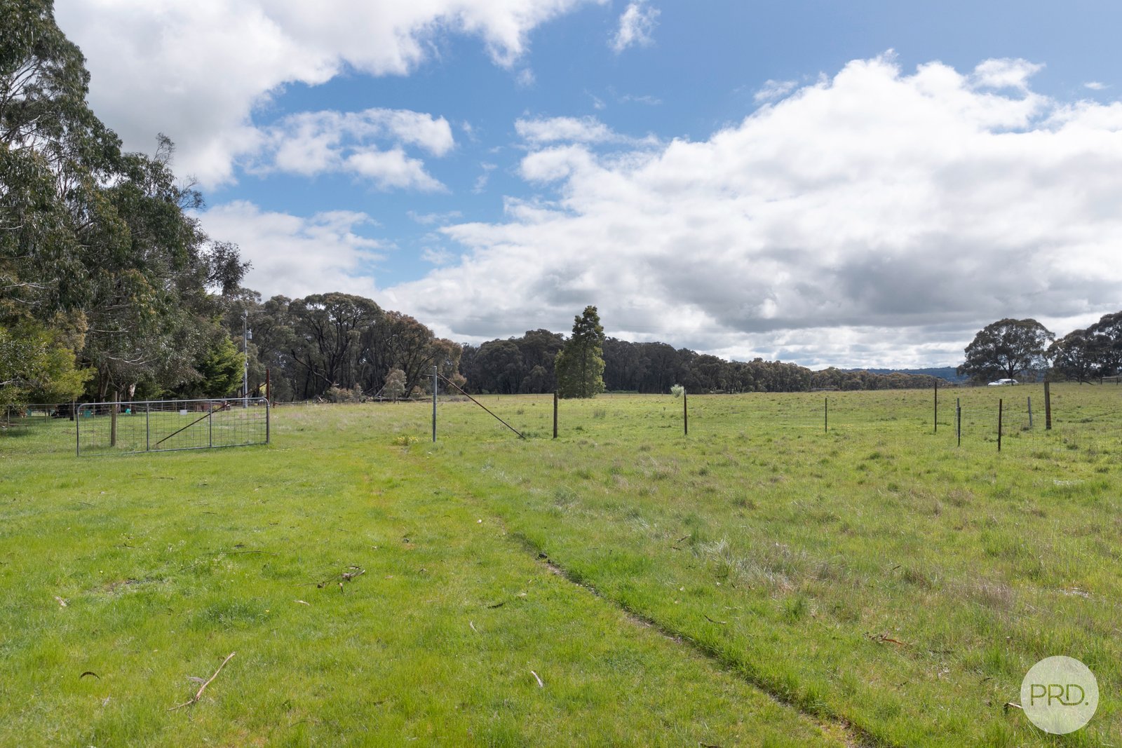 124 Kent Drive HADDON 6