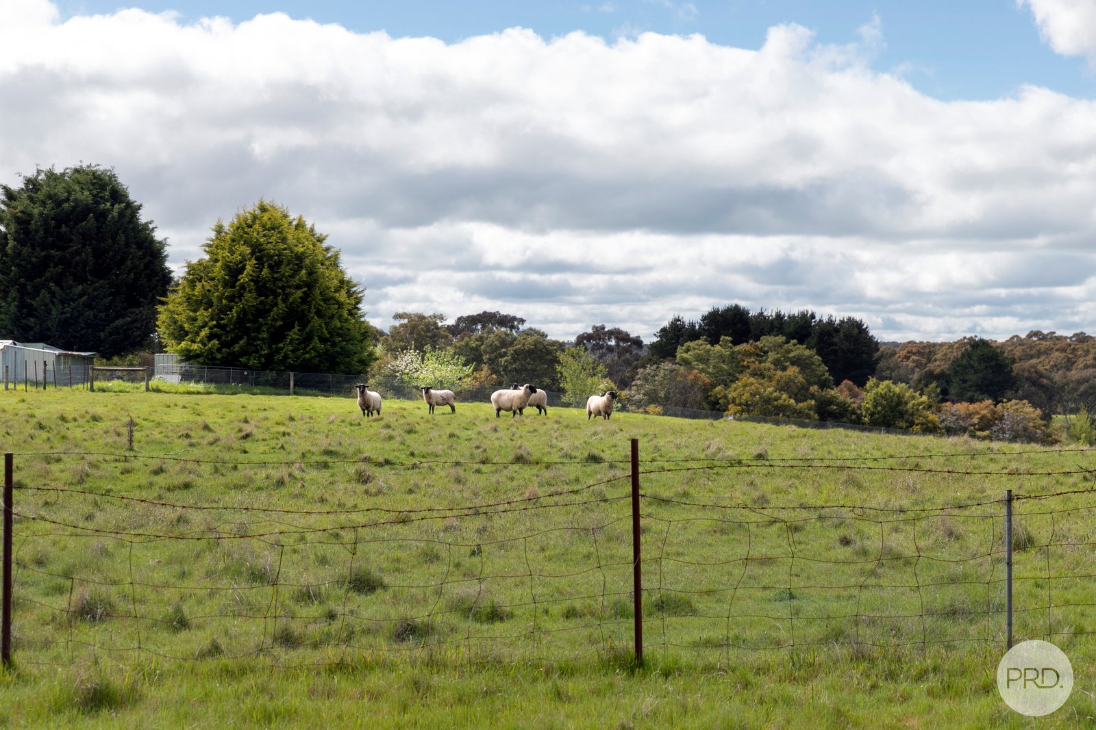 124 Kent Drive HADDON 7