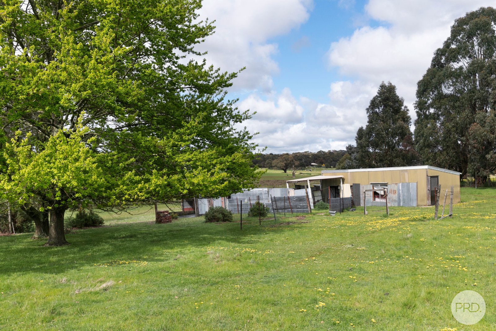 124 Kent Drive HADDON 8