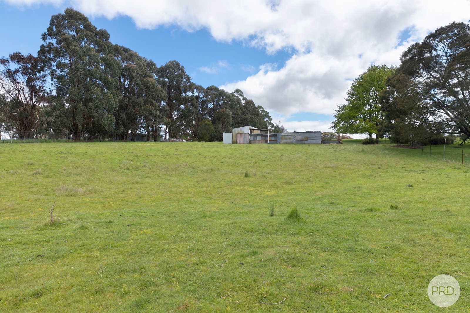 124 Kent Drive HADDON 10