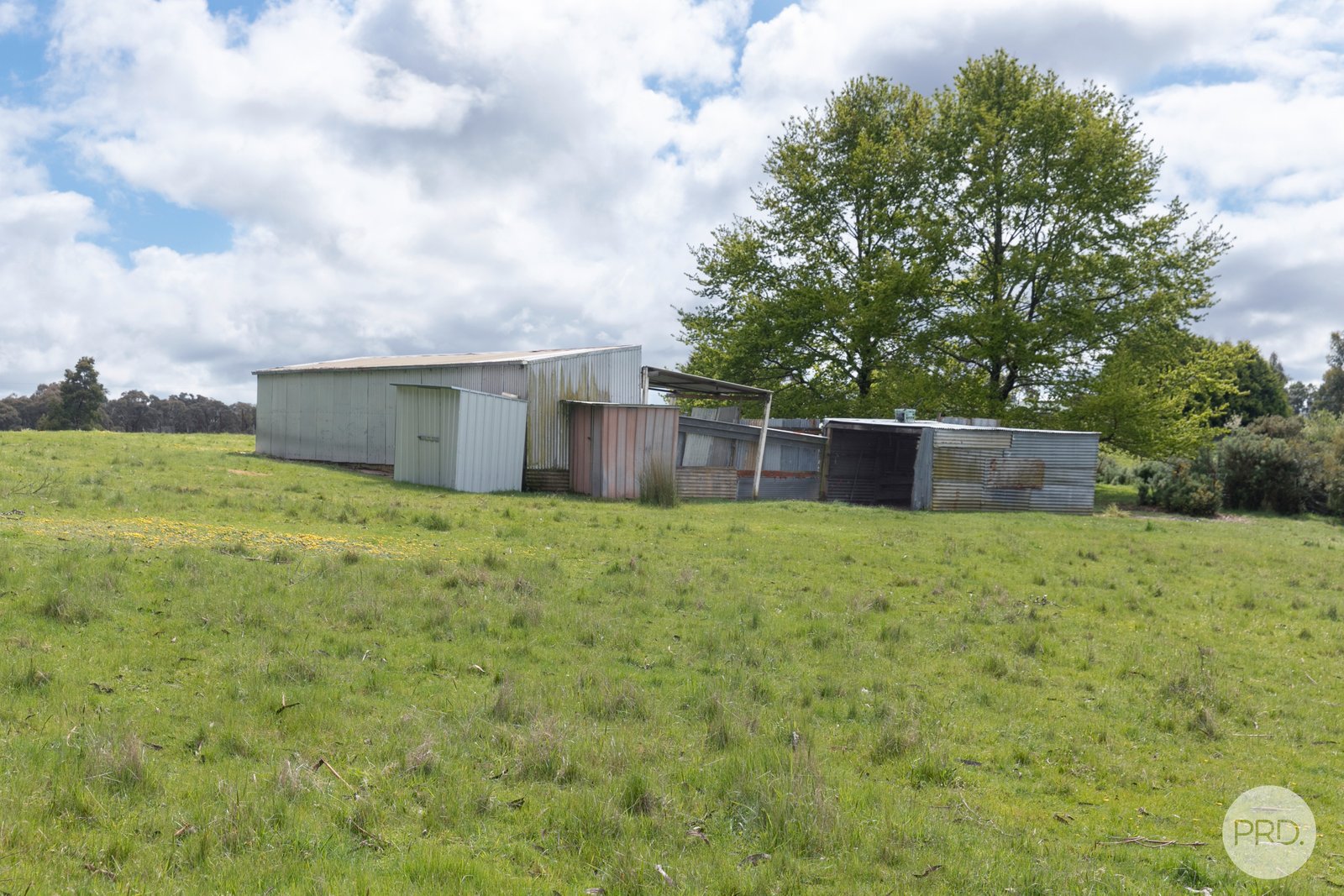 124 Kent Drive HADDON 11