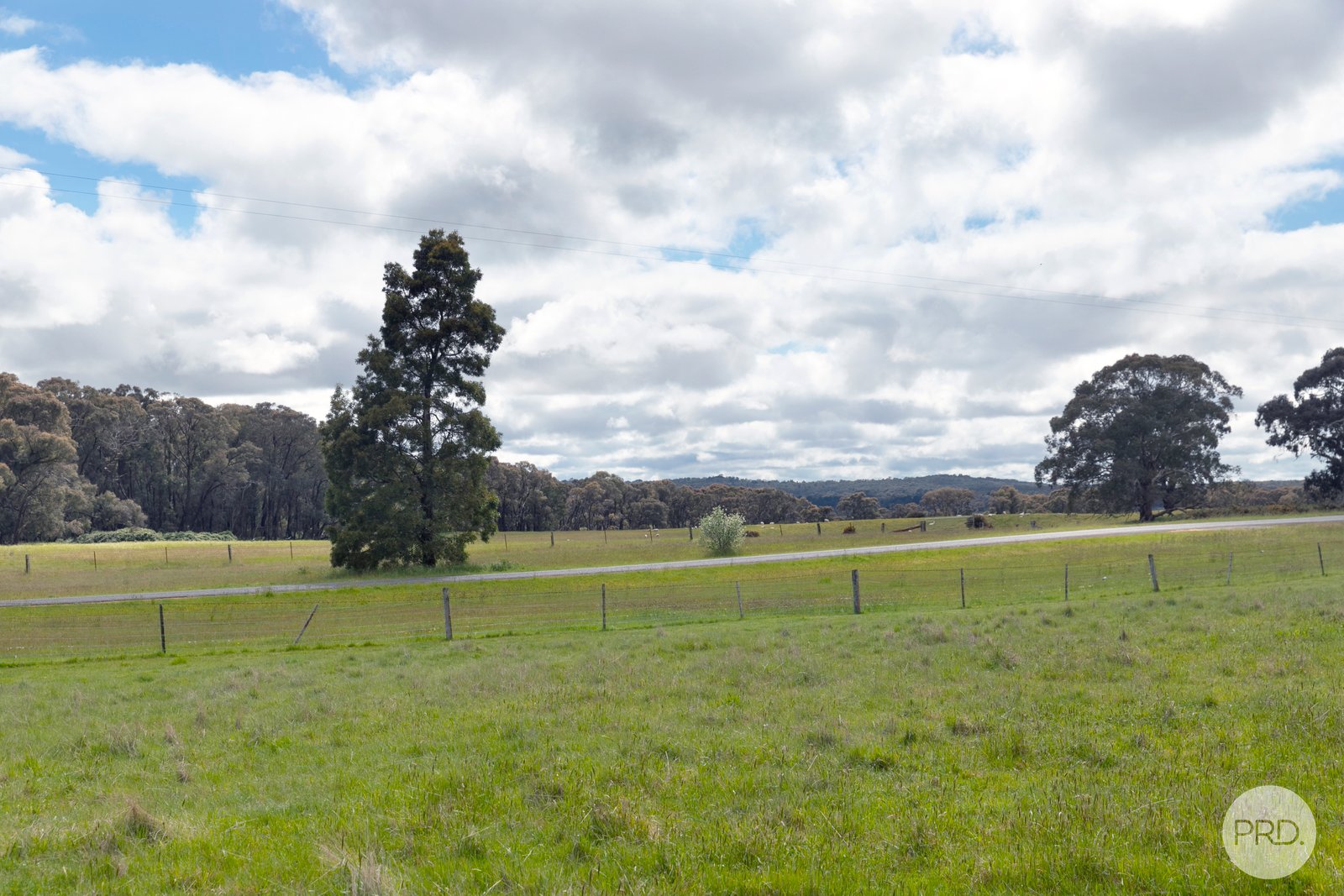 124 Kent Drive HADDON 12