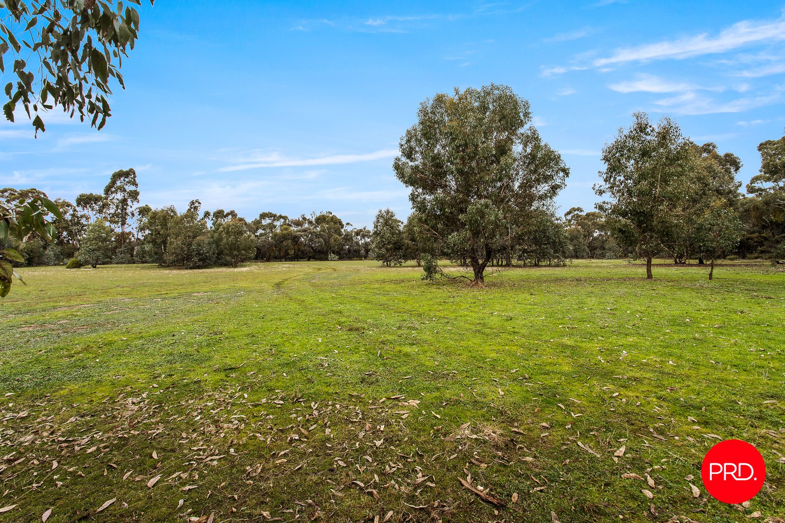 124 Mileham Road INGLEWOOD 4