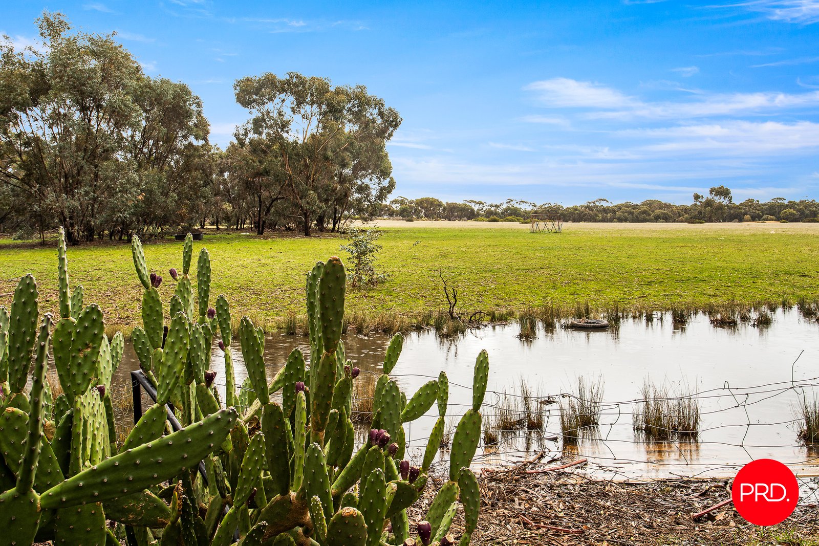124 Mileham Road INGLEWOOD 5