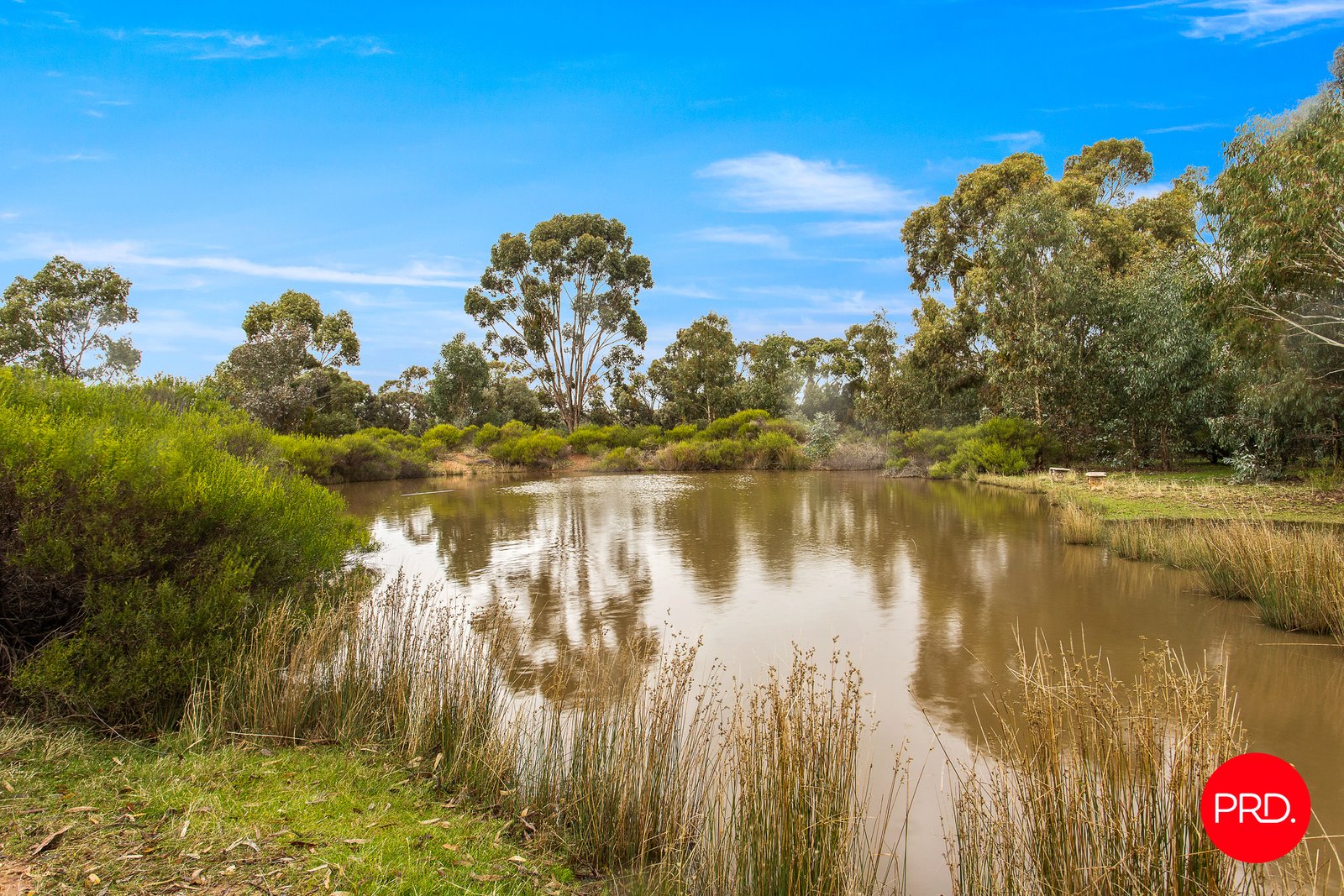 124 Mileham Road INGLEWOOD 7