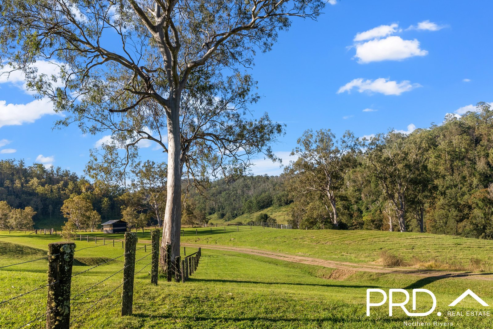 124 Moores Road, The Risk  KYOGLE 32