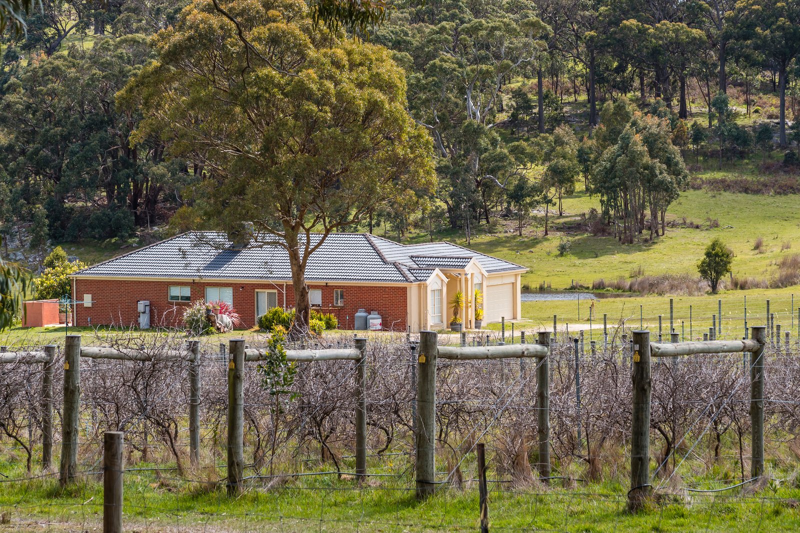 Real Estate and Property in 124 Pattons Road, Pastoria East, VIC