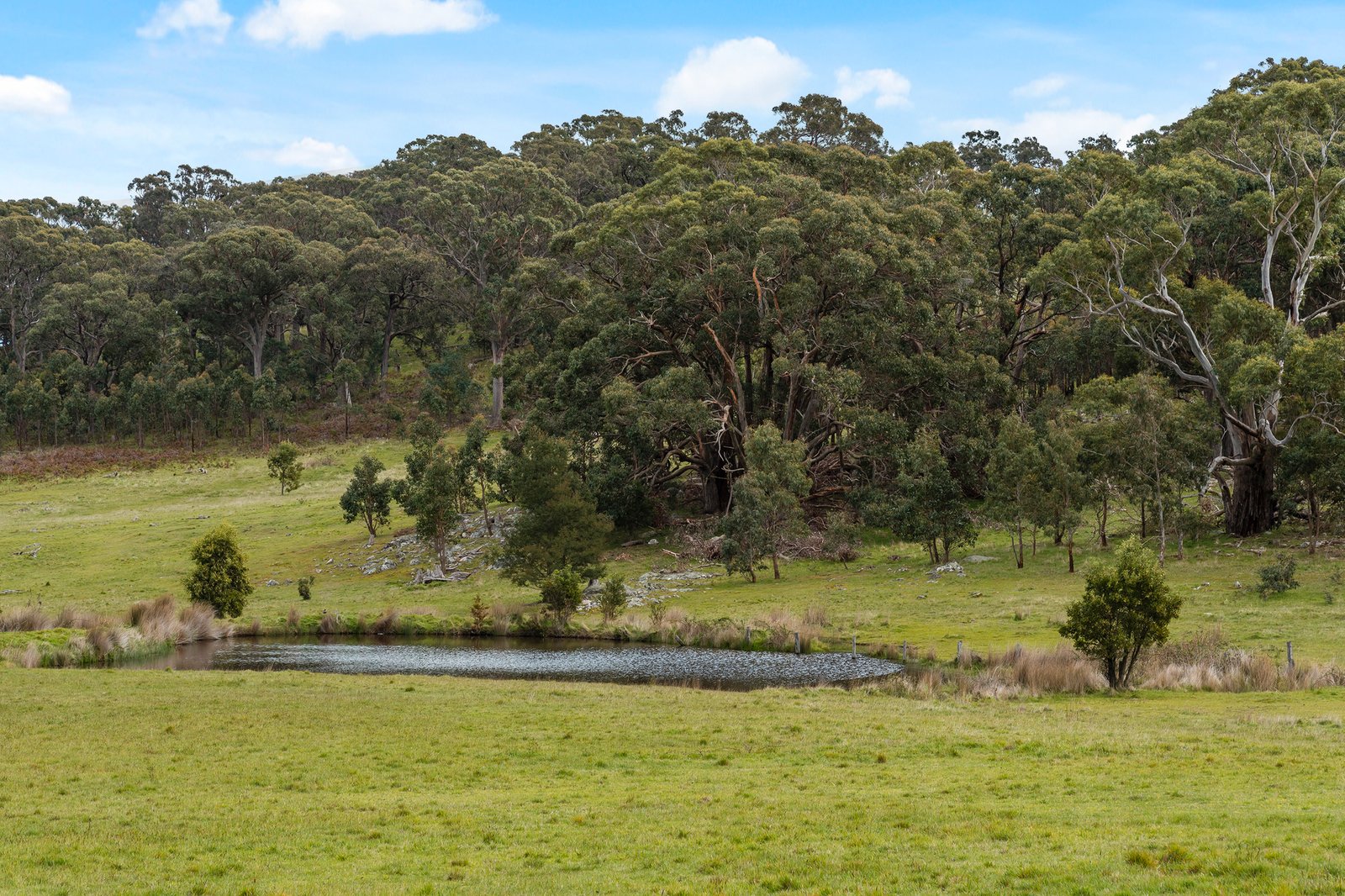 Real Estate and Property in 124 Pattons Road, Pastoria East, VIC