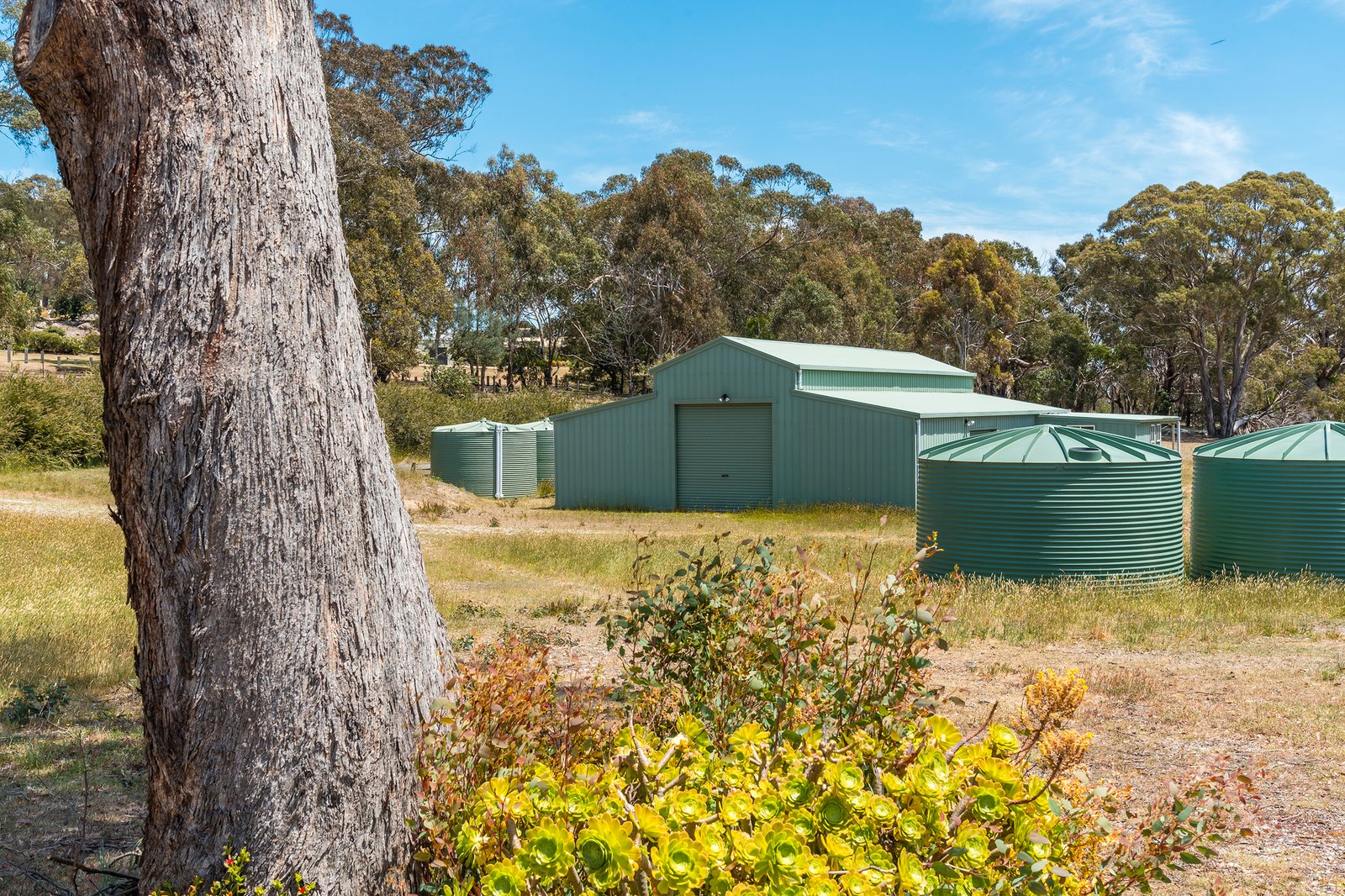 Real Estate and Property in 124 Pattons Road, Pastoria East, VIC