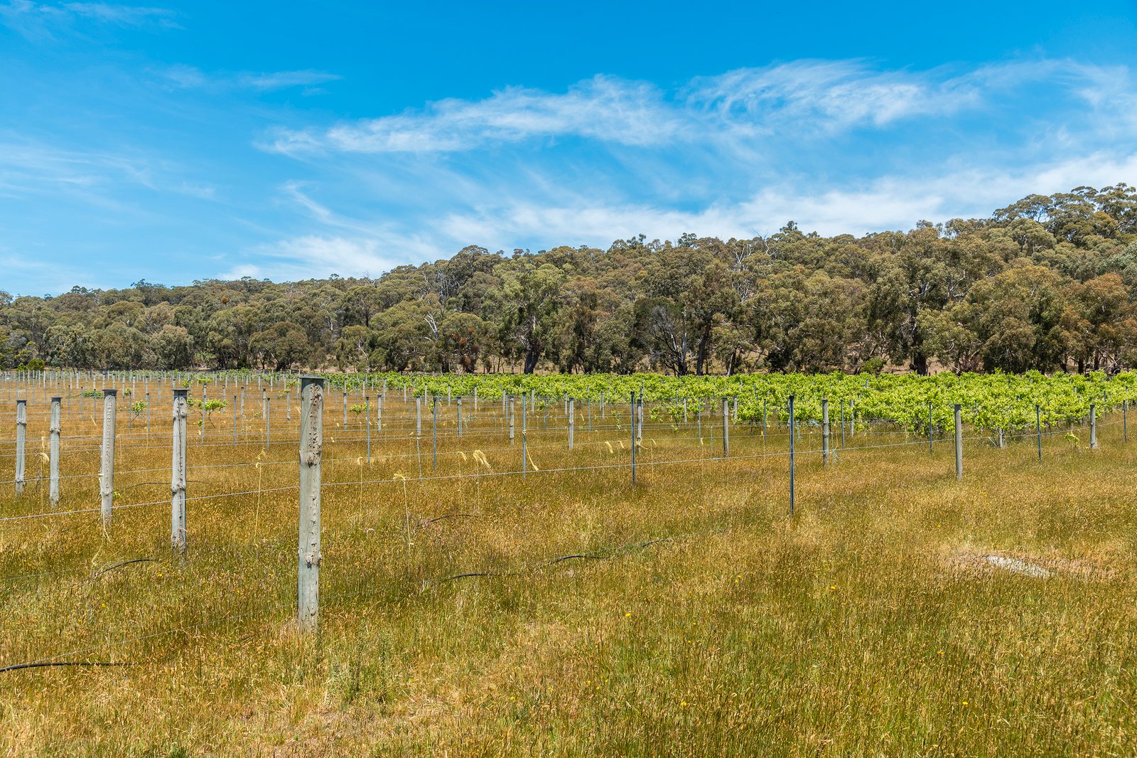 Real Estate and Property in 124 Pattons Road, Pastoria East, VIC