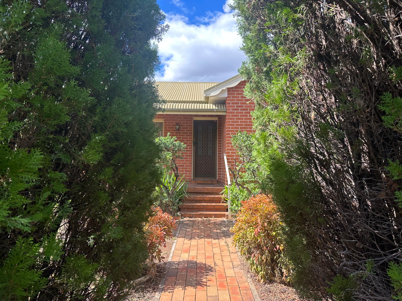 1/24 Rawson Avenue TAMWORTH 19