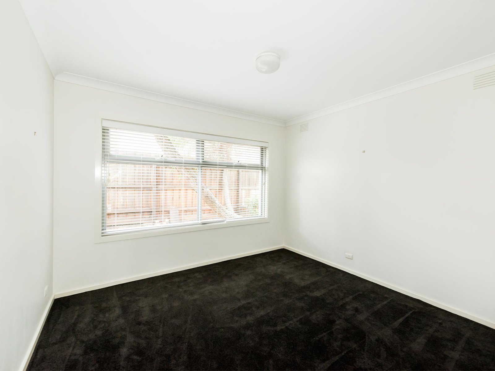 Gallery: 1/24 Stanley Street