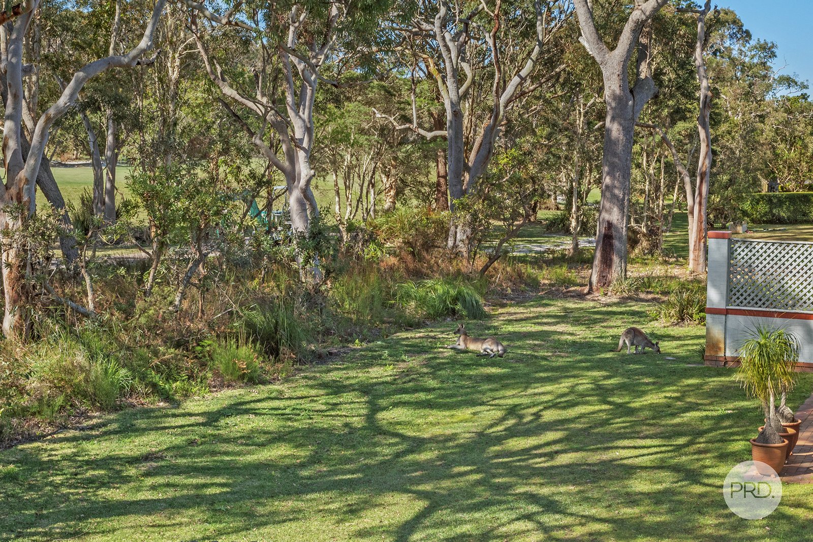 12/41 Kestrel Avenue SALAMANDER BAY 5