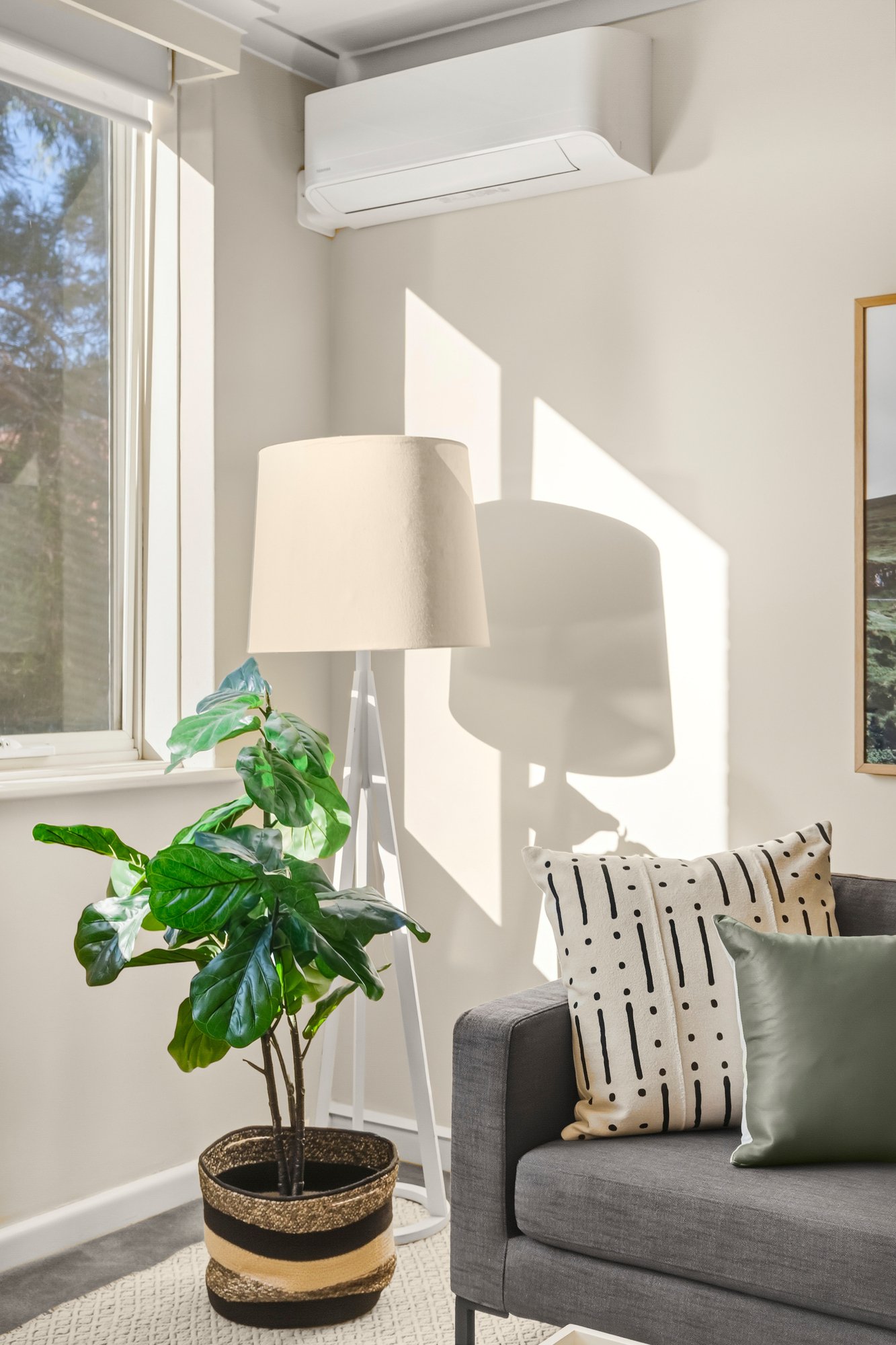 Gallery: 12/49 Brougham Street