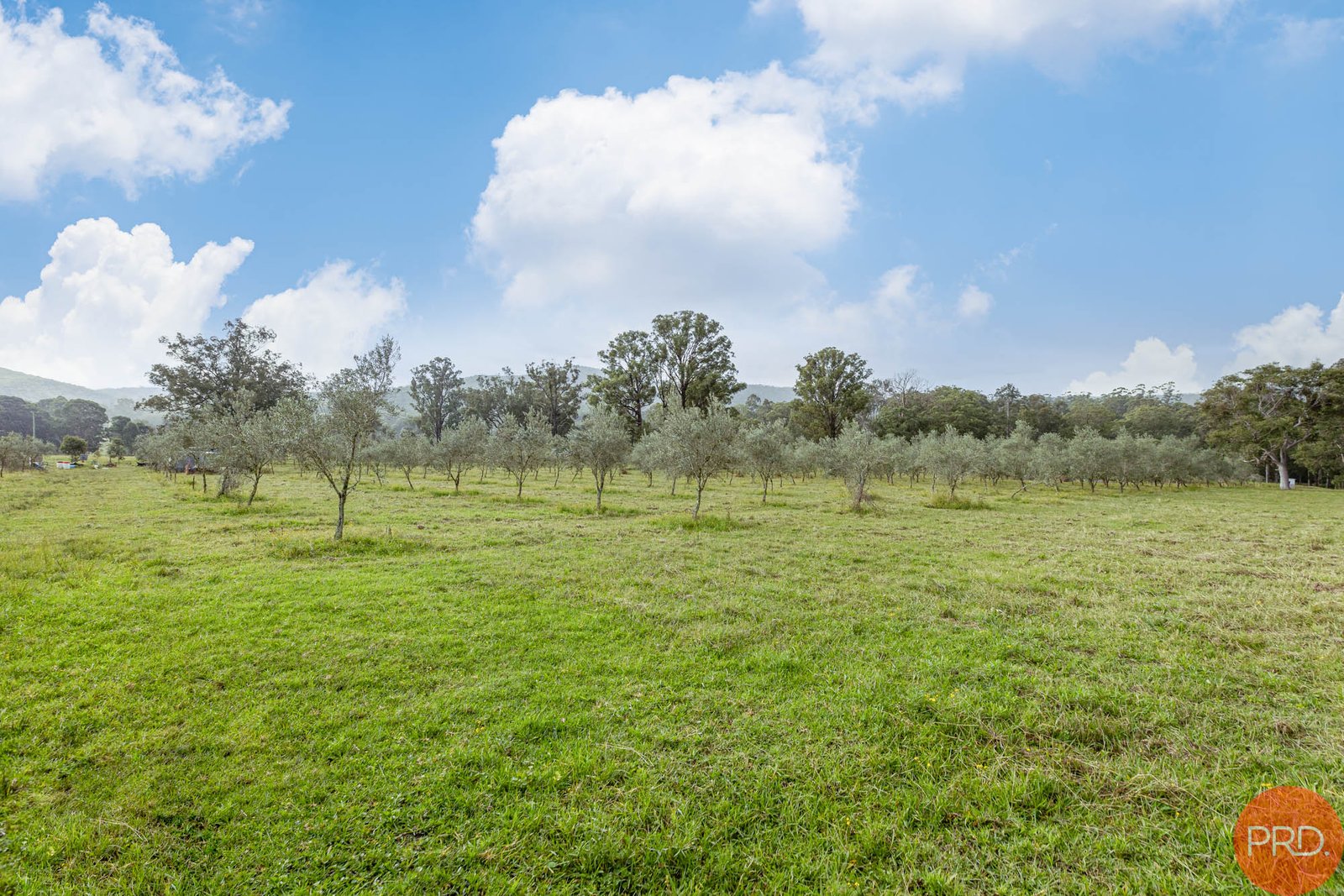 124a Duns Creek Road DUNS CREEK 5