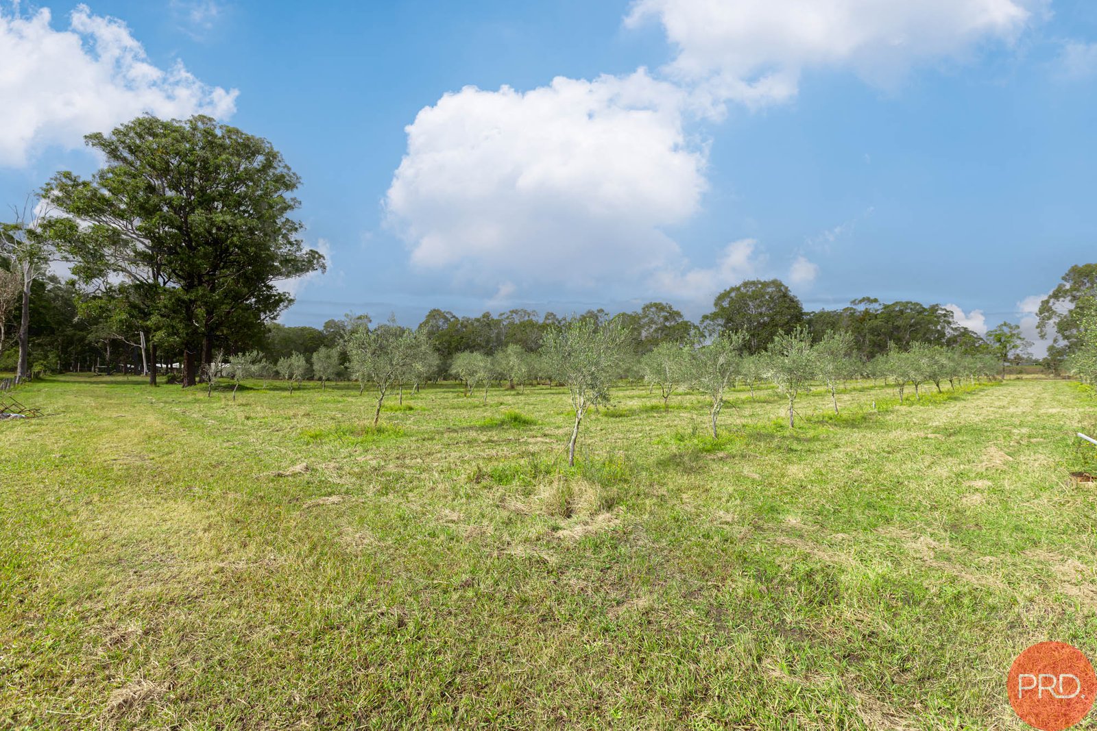 124a Duns Creek Road DUNS CREEK 6