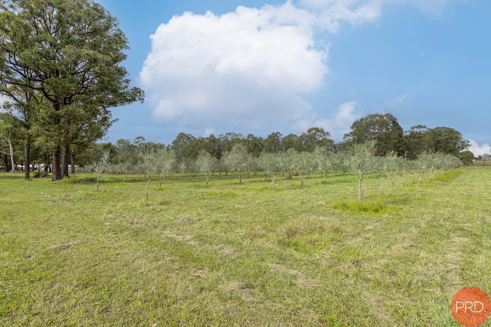 124a Duns Creek Road DUNS CREEK 7