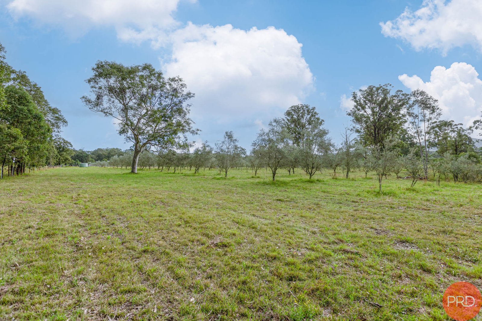 124a Duns Creek Road DUNS CREEK 8