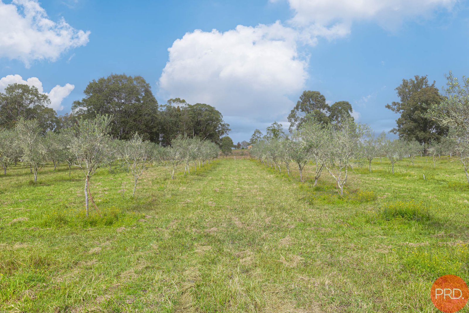 124a Duns Creek Road DUNS CREEK 9