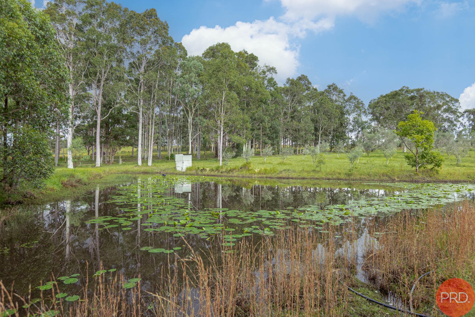 124a Duns Creek Road DUNS CREEK 10