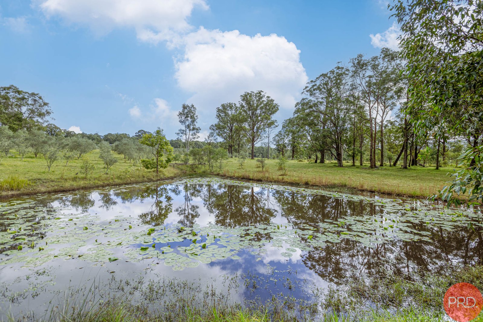 124a Duns Creek Road DUNS CREEK 11