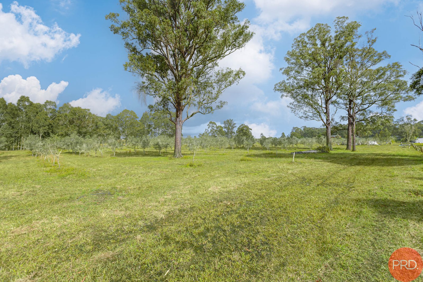 124a Duns Creek Road DUNS CREEK 12